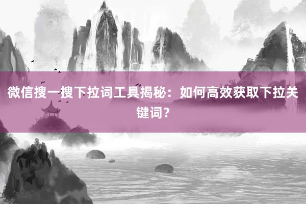 微信搜一搜下拉词工具揭秘：如何高效获取下拉关键词？