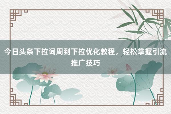 今日头条下拉词周到下拉优化教程，轻松掌握引流推广技巧