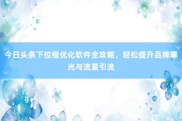 今日头条下拉框优化软件全攻略，轻松提升品牌曝光与流量引流