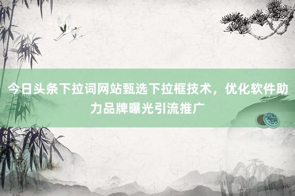 今日头条下拉词网站甄选下拉框技术，优化软件助力品牌曝光引流推广