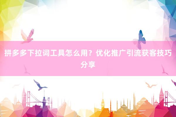 拼多多下拉词工具怎么用？优化推广引流获客技巧分享