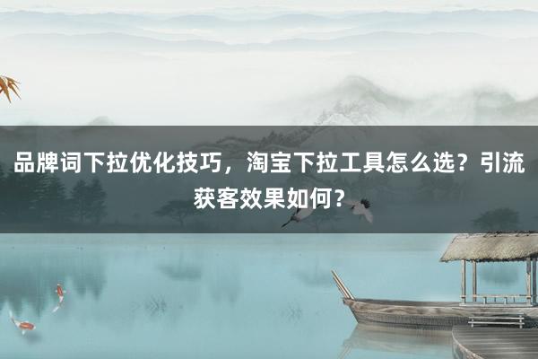 品牌词下拉优化技巧，淘宝下拉工具怎么选？引流获客效果如何？
