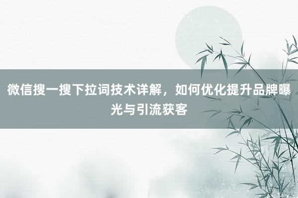 微信搜一搜下拉词技术详解，如何优化提升品牌曝光与引流获客