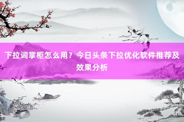 下拉词掌柜怎么用？今日头条下拉优化软件推荐及效果分析