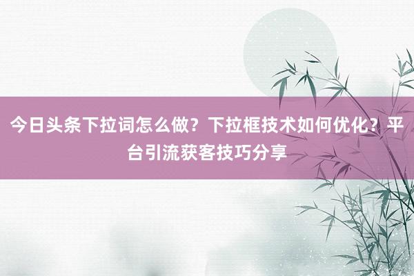今日头条下拉词怎么做？下拉框技术如何优化？平台引流获客技巧分享