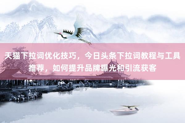 天猫下拉词优化技巧，今日头条下拉词教程与工具推荐，如何提升品牌曝光和引流获客
