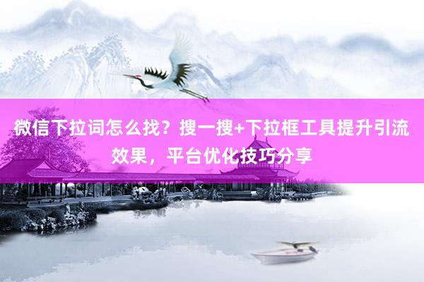 微信下拉词怎么找？搜一搜+下拉框工具提升引流效果，平台优化技巧分享