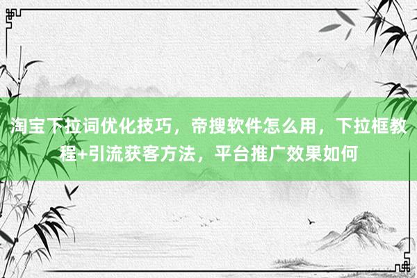 淘宝下拉词优化技巧，帝搜软件怎么用，下拉框教程+引流获客方法，平台推广效果如何