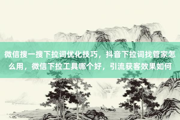 微信搜一搜下拉词优化技巧，抖音下拉词找管家怎么用，微信下拉工具哪个好，引流获客效果如何