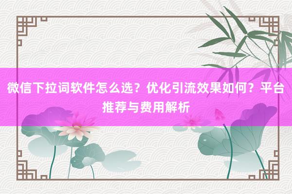 微信下拉词软件怎么选？优化引流效果如何？平台推荐与费用解析
