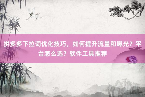 拼多多下拉词优化技巧，如何提升流量和曝光？平台怎么选？软件工具推荐