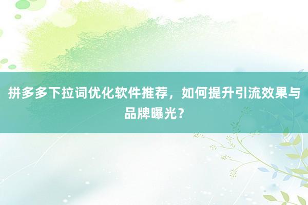 拼多多下拉词优化软件推荐，如何提升引流效果与品牌曝光？