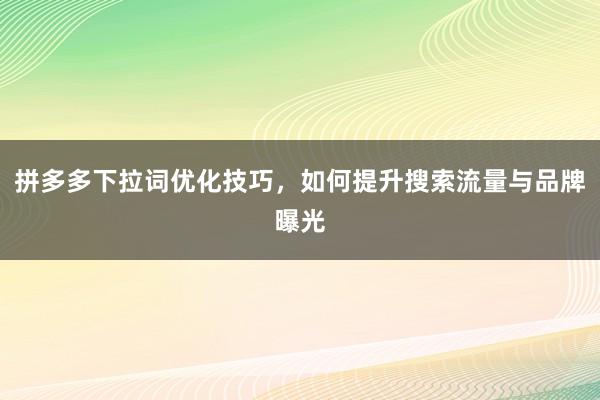 拼多多下拉词优化技巧，如何提升搜索流量与品牌曝光
