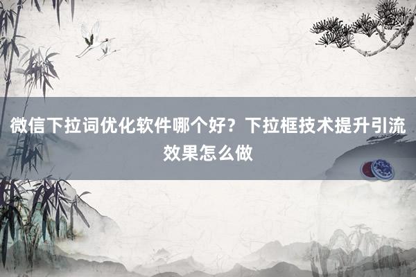 微信下拉词优化软件哪个好？下拉框技术提升引流效果怎么做