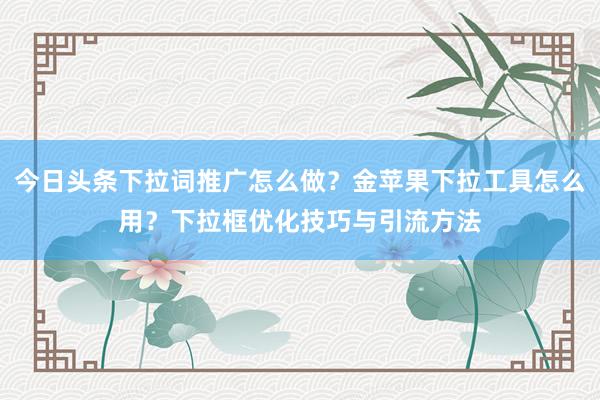 今日头条下拉词推广怎么做？金苹果下拉工具怎么用？下拉框优化技巧与引流方法