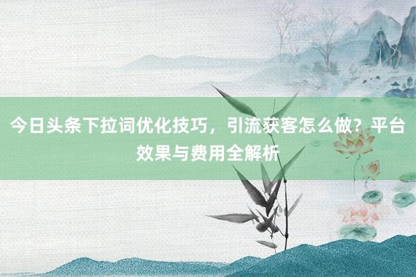 今日头条下拉词优化技巧，引流获客怎么做？平台效果与费用全解析