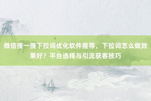 微信搜一搜下拉词优化软件推荐，下拉词怎么做效果好？平台选择与引流获客技巧
