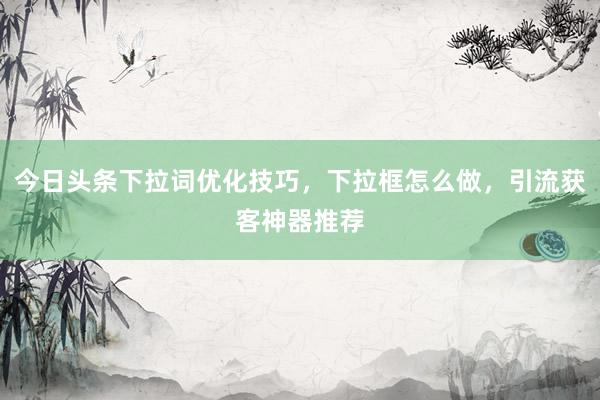 今日头条下拉词优化技巧，下拉框怎么做，引流获客神器推荐