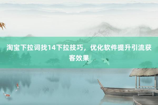淘宝下拉词找14下拉技巧，优化软件提升引流获客效果