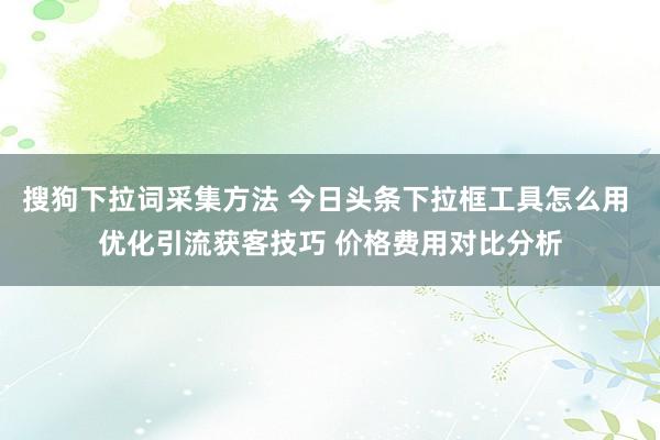 搜狗下拉词采集方法 今日头条下拉框工具怎么用 优化引流获客技巧 价格费用对比分析
