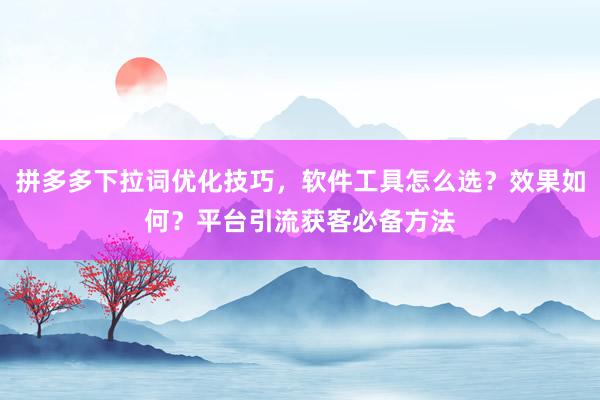 拼多多下拉词优化技巧，软件工具怎么选？效果如何？平台引流获客必备方法